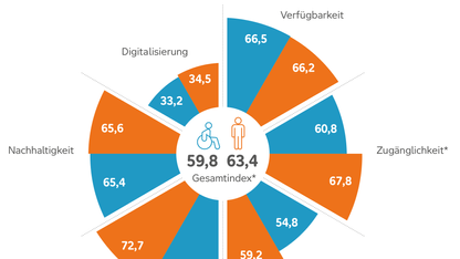 Grafik mit den Ergebnissen der Umfrage zum Inklusionsbarometer Mobilität