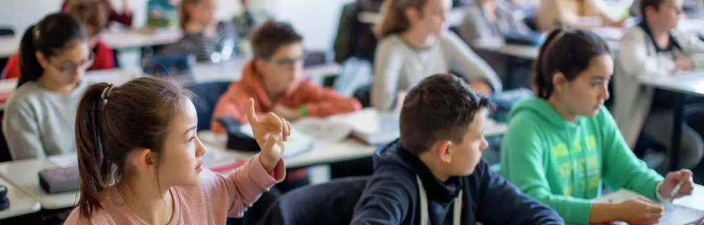 Eine Schulklasse mit Jungen und Mädchen. 